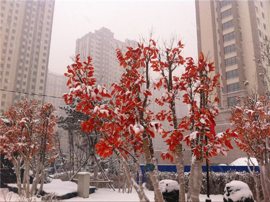 ���Ӿ�̖��^ѩ���^����