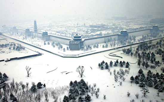 2015���ͬ��ѩ