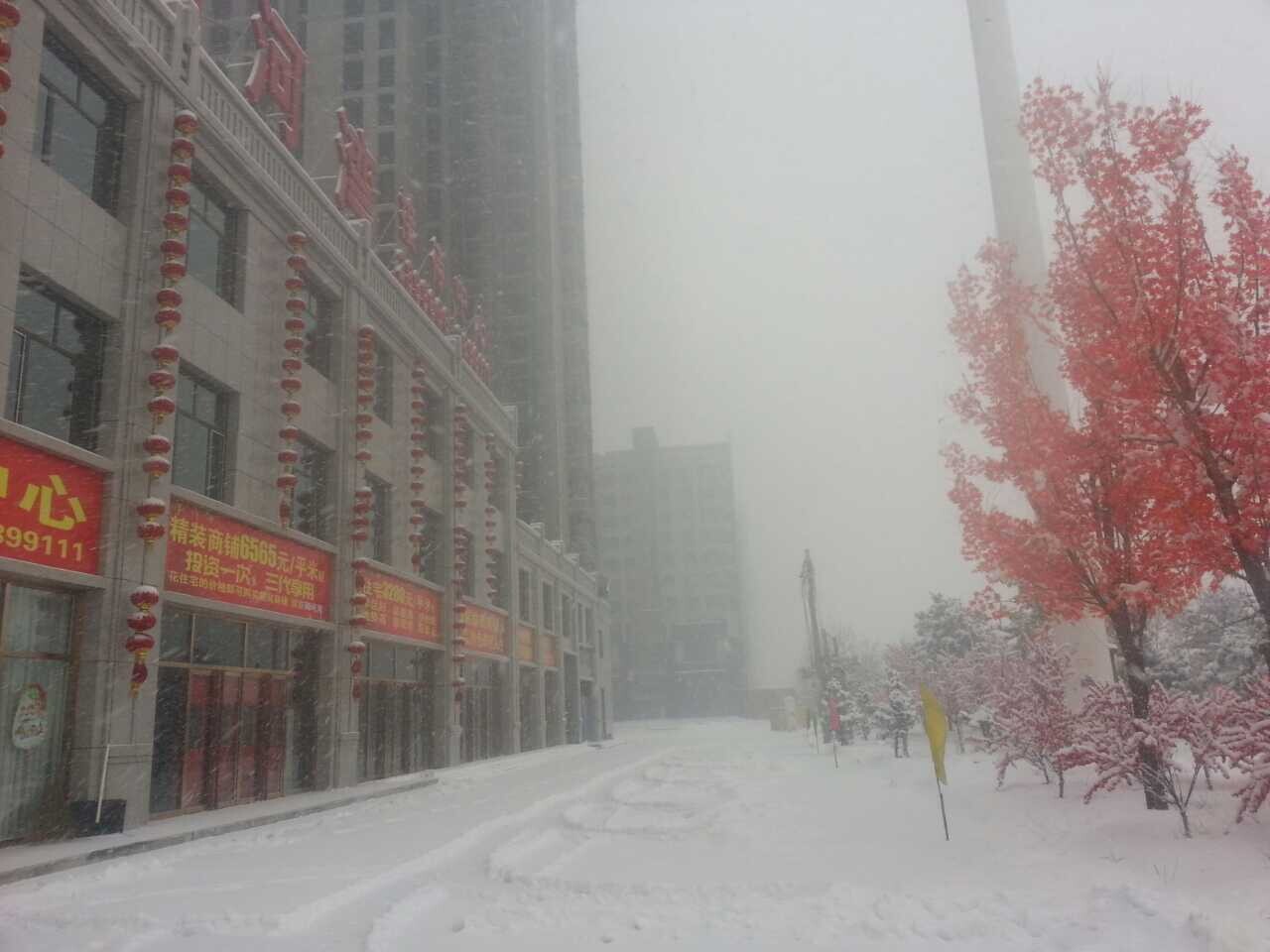 ���Ӟ��ۘ�̎ѩ���D