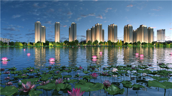 ���Ӿ�̖�Ŀ���wЧ���D