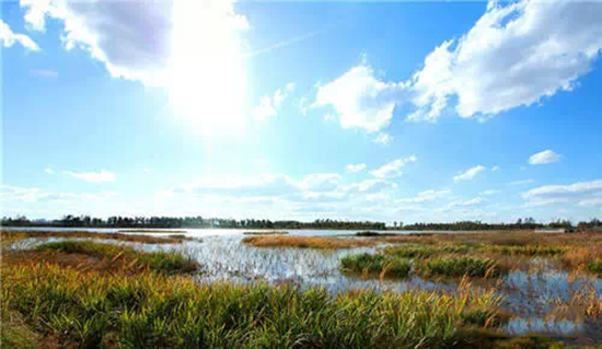 ��ͬ��孺����B(t��i)�@���^