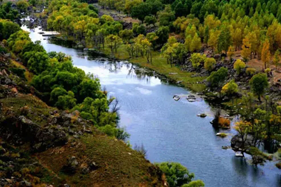 �����{��(y��u)�����^