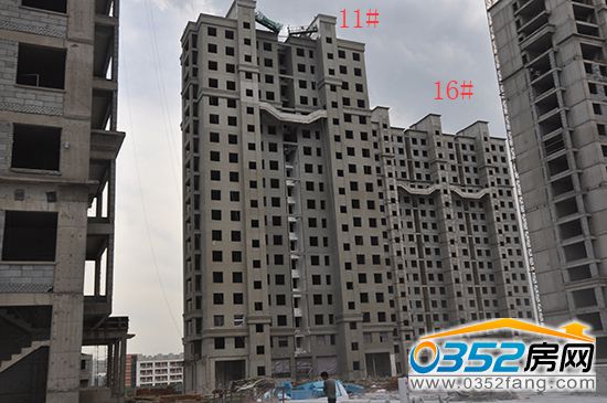 �|�����ǡ�������11#�≦���،��ѽ����