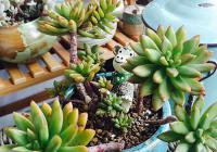 89�O�F(xi��n)�����s���µ��к��L(f��ng)��