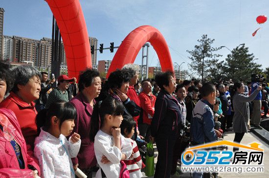 23172249c0353126297339.jpg DSC_0844.JPG