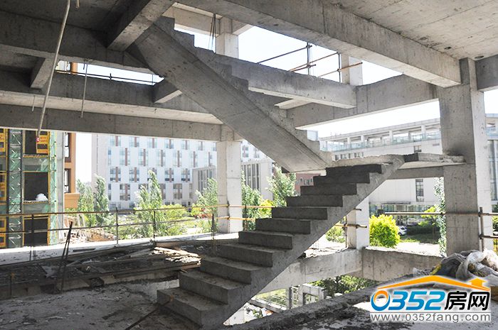 171542007710fbefcb1839.jpg DSC_0072.JPG