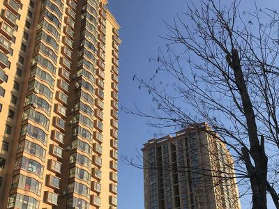 ����ň@һ�ڌ����D