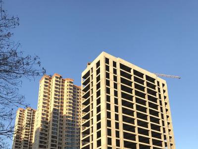 ����ň@���ڌ����D