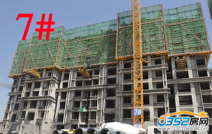 2617501738479b70542685.jpg 7.jpg