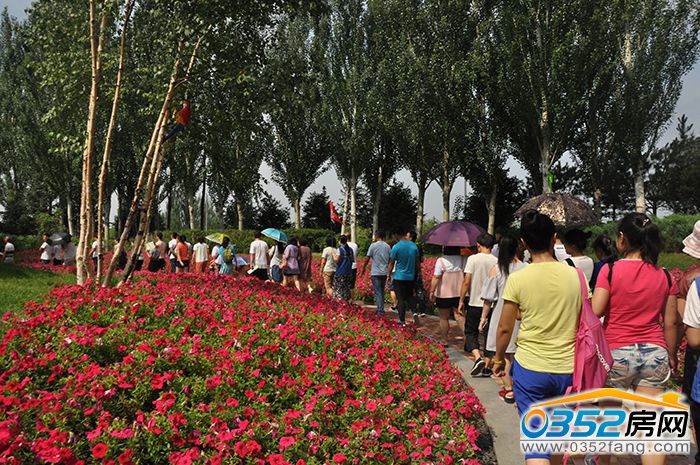 151835382649b05d5a5494.jpg DSC_0046.JPG