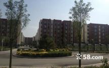 κ���³� 2��1�d1�l 62�O��t��