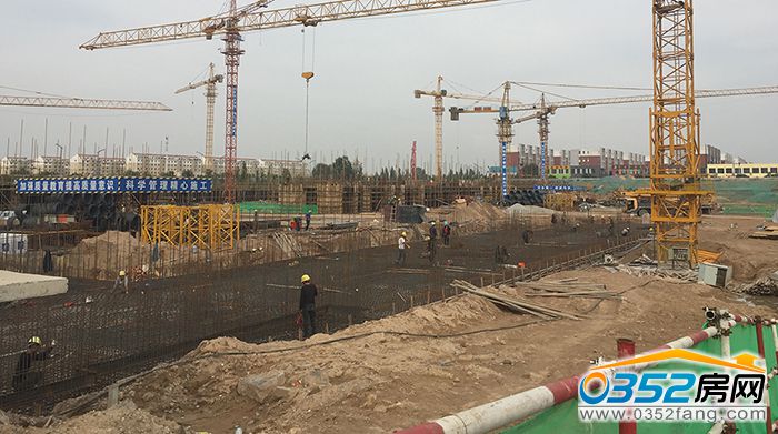 0216131948120152d25618.jpg 花千樹1 700.jpg