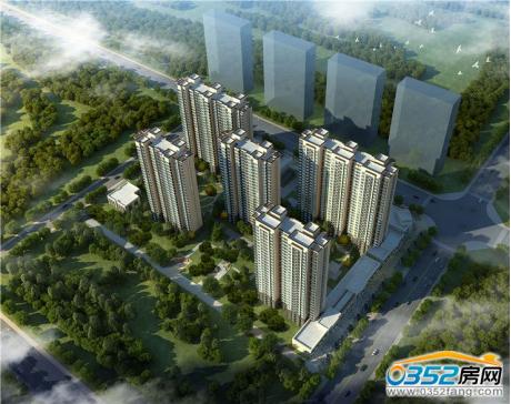 �Ĳ���Ч���D