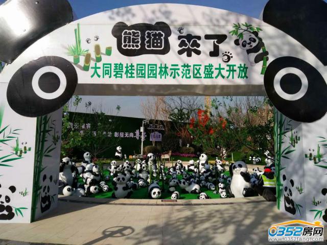 ���}��؈չ