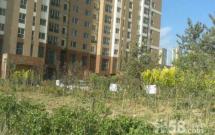 ����@С�^,�����ЌW�W�^,���ݵ̓r����! 2��1�d1�l 67�O��t�� �����J��