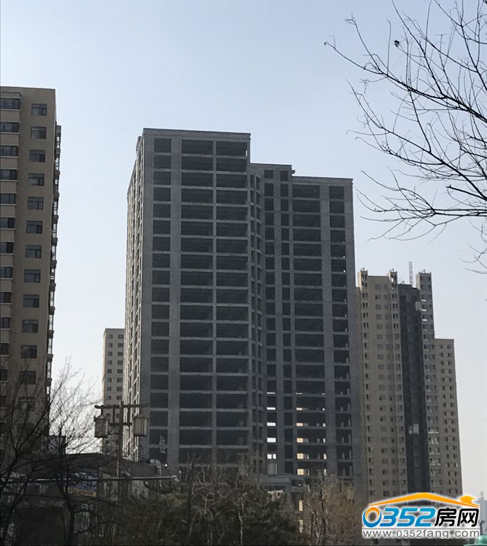 261101282427f7191c3752.jpg 1.jpg