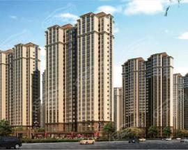 ���J������ڱ������w