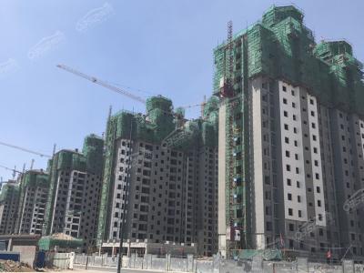 5.31���،���