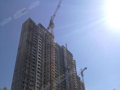 2018.6.15���f��ֹ����M��