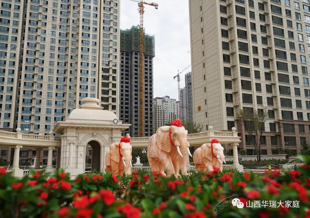 251534189e2d071caa9189.jpg 251534189e2d071caa9189.jpg