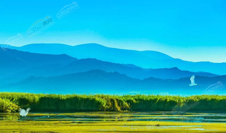 1011360831bcd934a16966.jpg 1011360831bcd934a16966.jpg