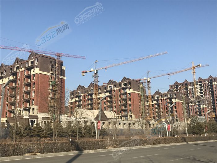 231705432bbe6793b64907.jpg 花千樹.jpg