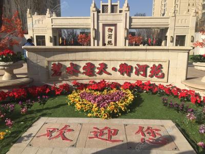 2018��11������Է����