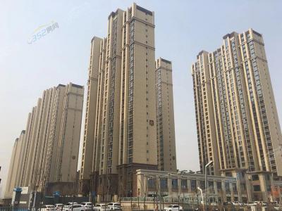 ���ǖ|�����������D