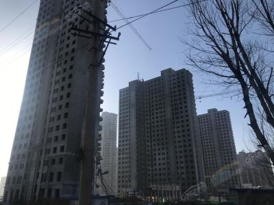 2019.3.5�����M(j��n)��