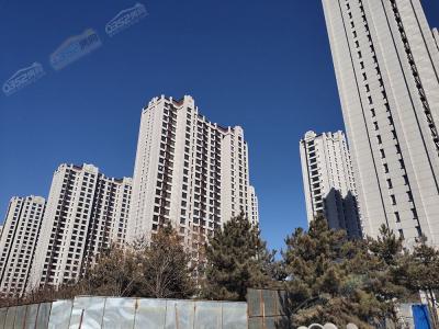 2019.3.7�Ռ����D