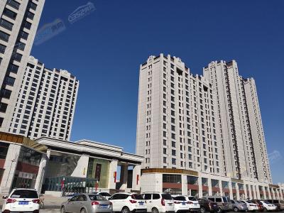 2019.3.7�Ռ����D