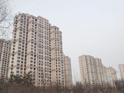 ���������D