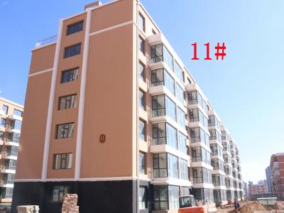 2019.3.19���\�A��11#