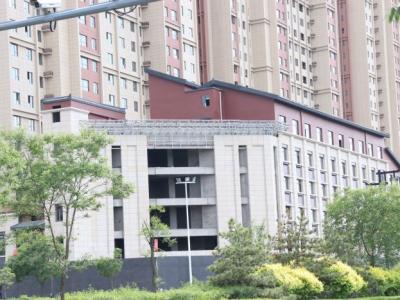 ���������_�^