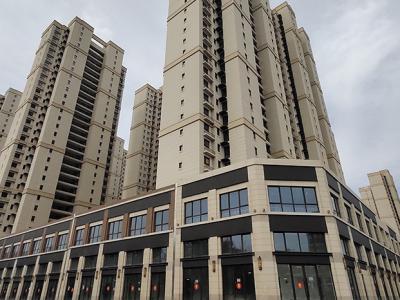 ���������D