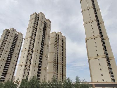 ���������D