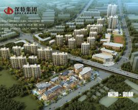 ͩ������