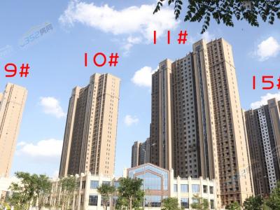 2019.7.23��9/10/11/15#�����D