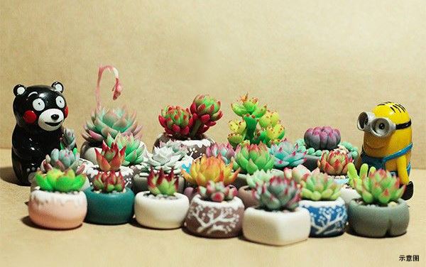 19175452cdd5a341a77421.jpg 鍥劇墖5.jpg