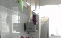 ����@ 2��2�d1�l(w��i) 100.5�O ���b�� �Ҿ߼�� ��t�� ���׸� 28�� �ϱ�ͨ͸ ����������