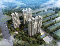 ꖹ⡤ʮ�����