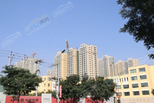 10.10�����M(j��n)�Ȍ�(sh��)���D