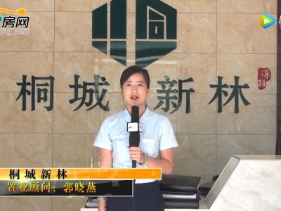 ͩ������ɳ�P�v��