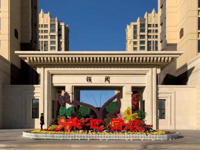 �I醌����D