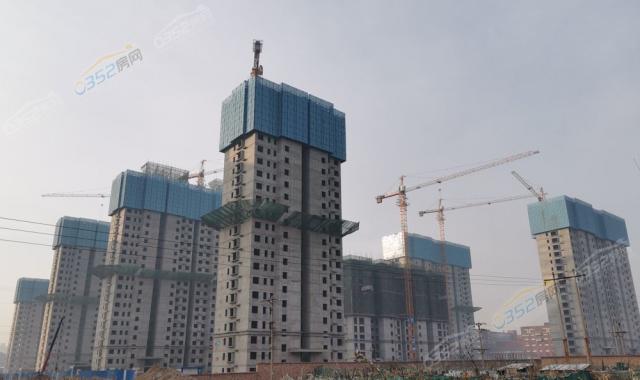 �п�����11�¹����M��