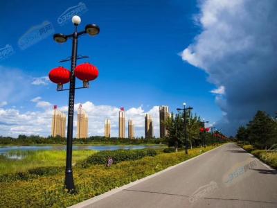 ���������׈D