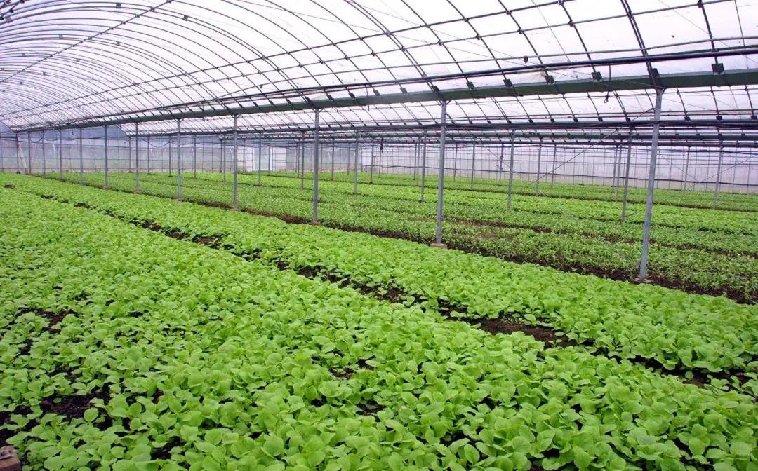 27143836aaa3c48f6c4483.jpg 27143836aaa3c48f6c4483.jpg