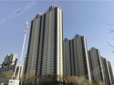 2020.4.25�����D