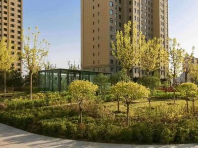 С�^�@�֌����D