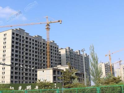 �(y��ng)���B��5��(sh��)���D